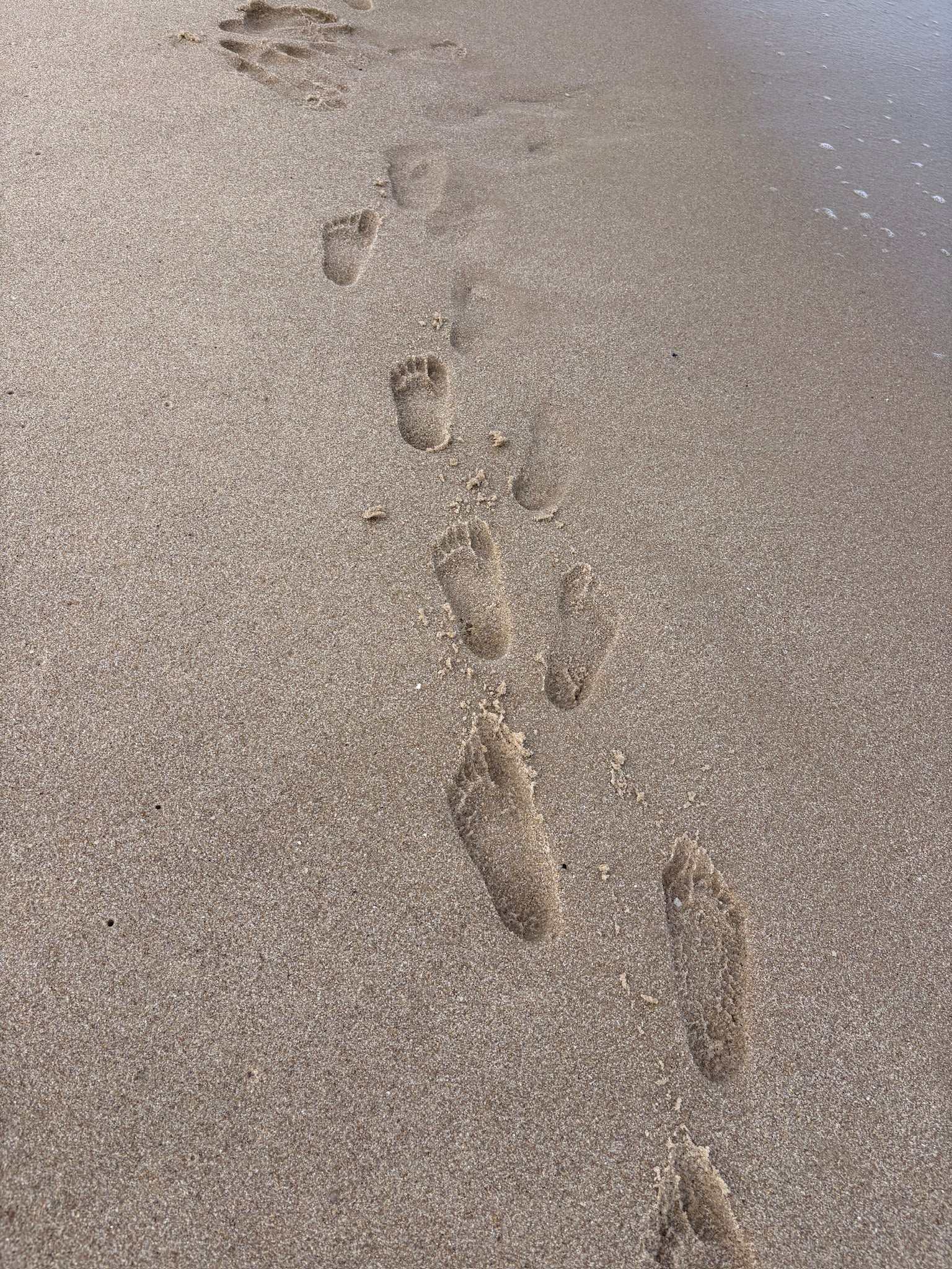 Footprints tracing a path beside the sea